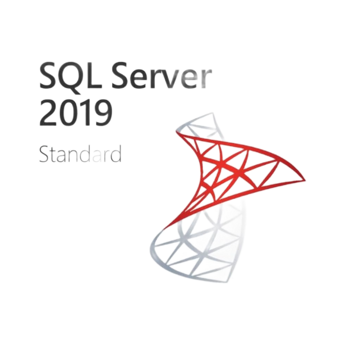 Microsoft SQL Server 2019 Standard — Lifetime License