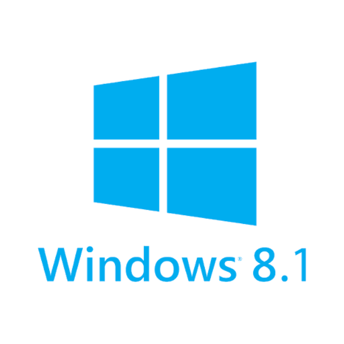 Windows 8.1 Pro — Lifetime License | 1 PC
